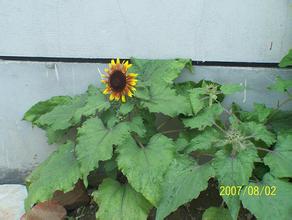 �����˿˳�ǧ������Ƶ�����������ֳ���ҽԺŮԺ�������������ְ(ͼ)...